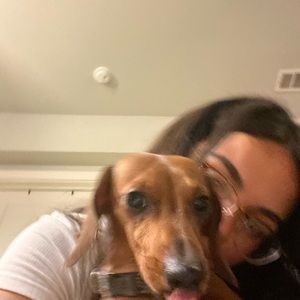 Meet your Posher, Sofia